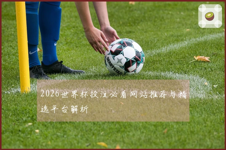 2026世界杯投注必看网站推荐与精选平台解析
