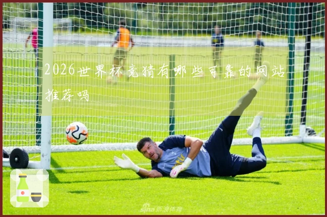 2026世界杯竞猜有哪些可靠的网站推荐吗