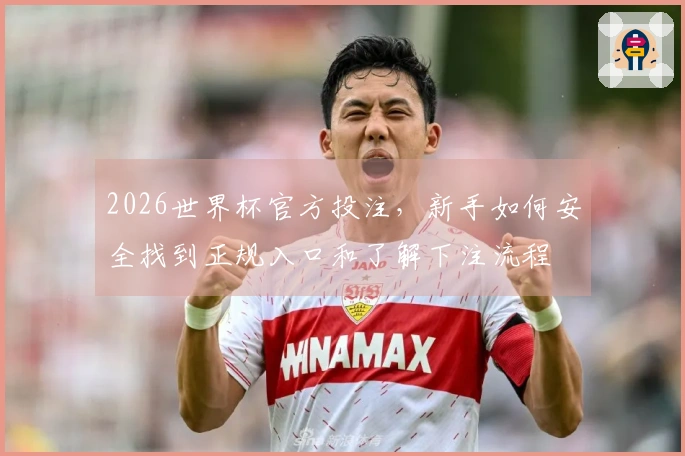2026世界杯官方投注，新手如何安全找到正规入口和了解下注流程