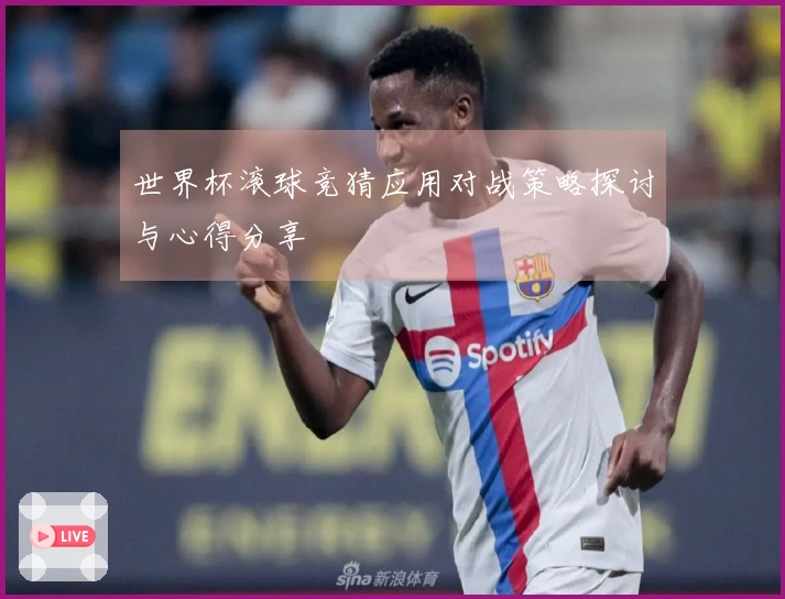 世界杯滚球竞猜应用对战策略探讨与心得分享