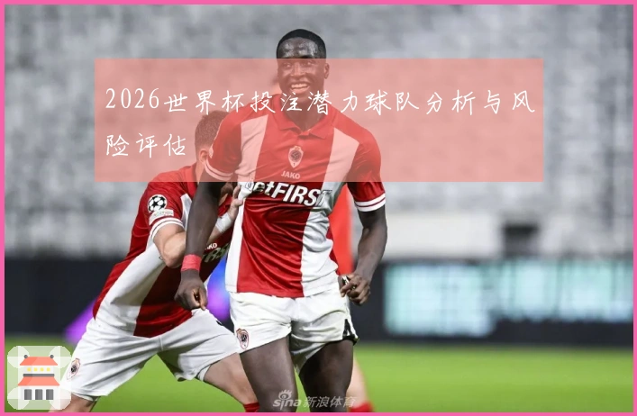 2026世界杯投注潜力球队分析与风险评估