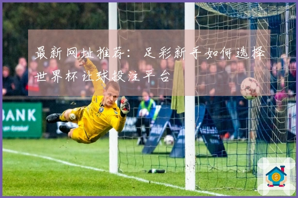 最新网址推荐：足彩新手如何选择世界杯让球投注平台