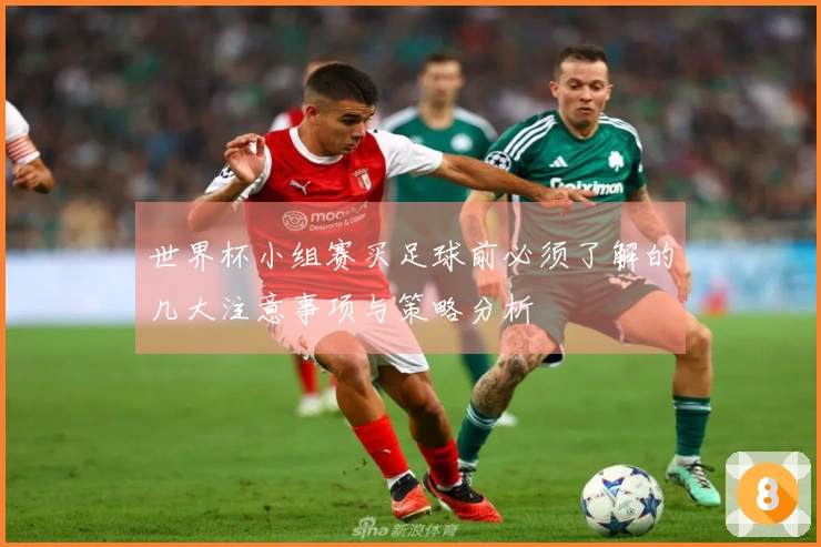 世界杯小组赛买足球前必须了解的几大注意事项与策略分析