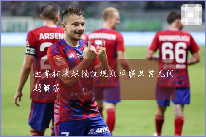 世界杯滚球投注规则详解及常见问题解答