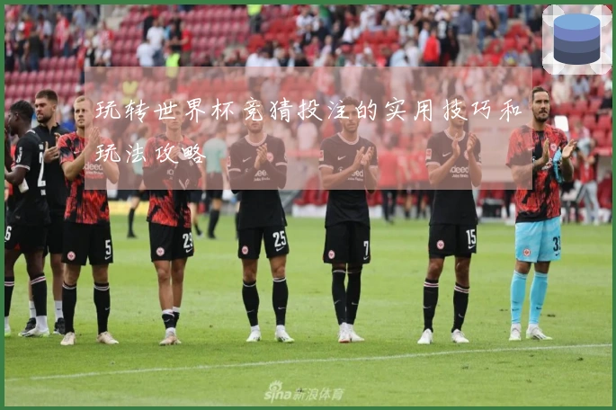 玩转世界杯竞猜投注的实用技巧和玩法攻略