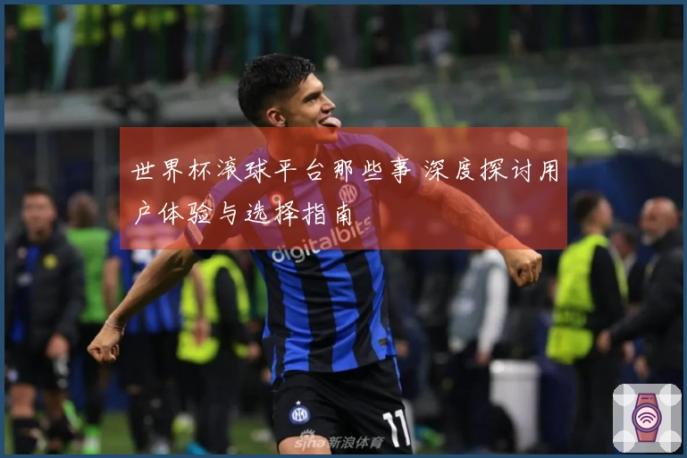 世界杯滚球平台那些事 深度探讨用户体验与选择指南